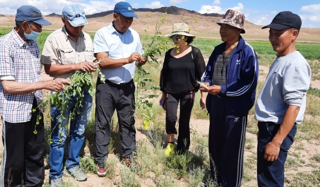 Regionale DMKNL Schulung im GobiAltai Aimag zum Thema „Gute fachliche